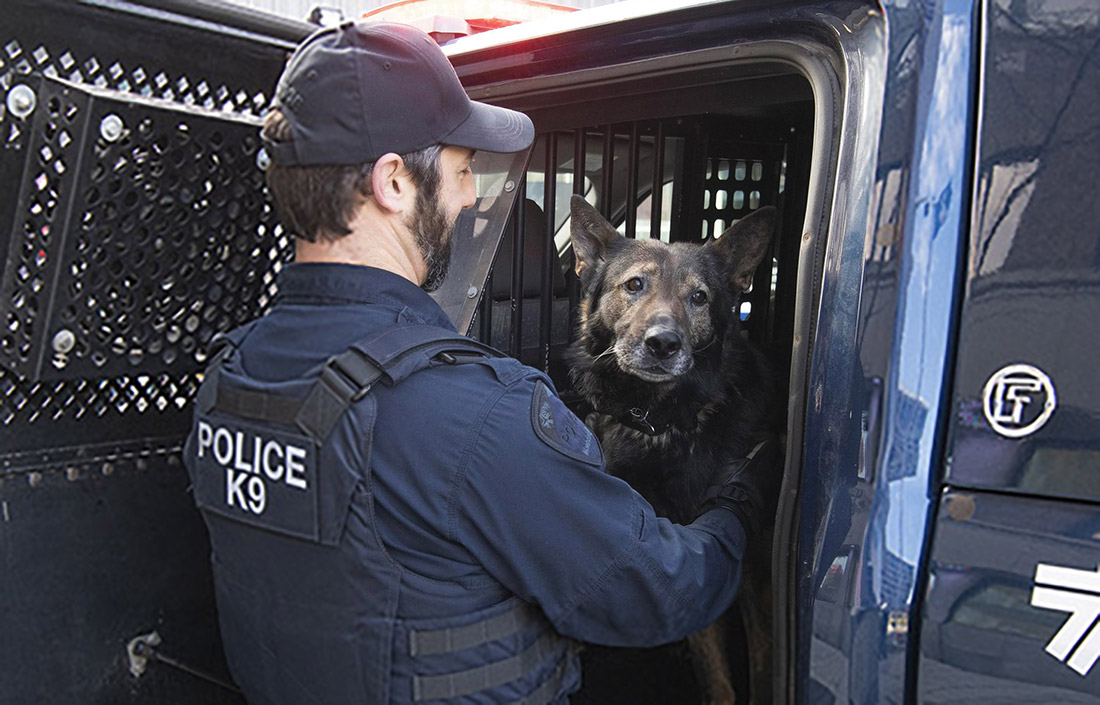 SPVM K9Monty